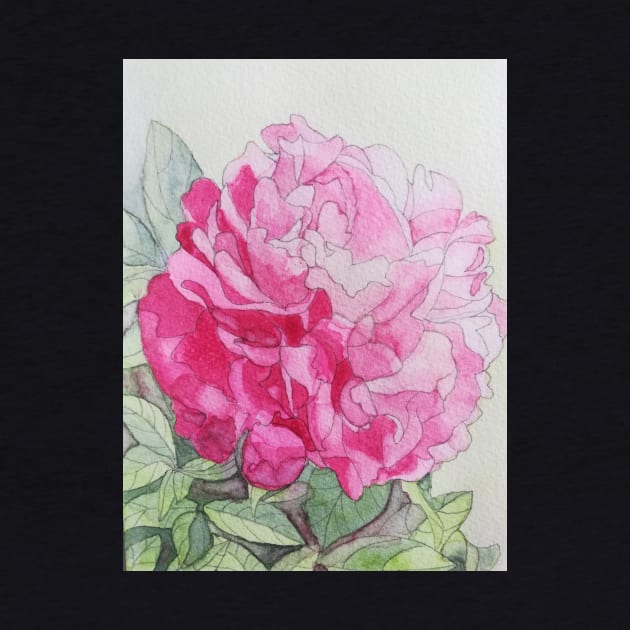 Red pink peony rose watercolour painting by esvb